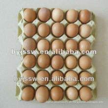 Caixa de cartuchos de ovos de celulose